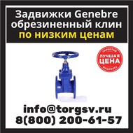     Genebre 2102 Dn 65 Pn 16